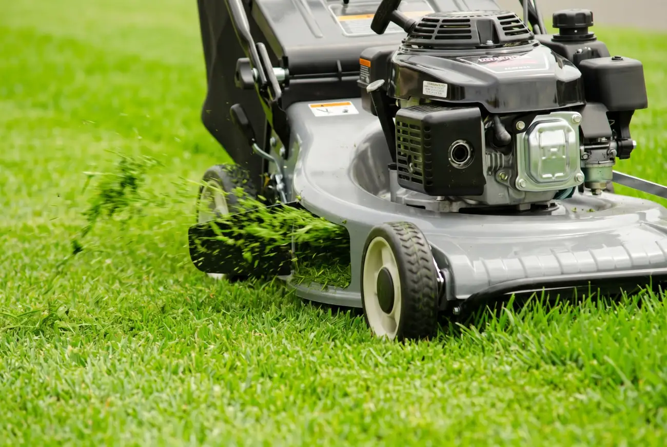 A Fox franchise owner mowing a lawn